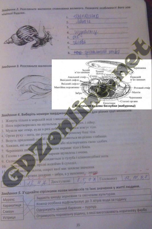 Ответы в печатной тетради по биологии 9 класса а.калинчук р гусева