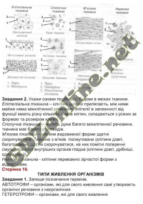Ответы 8 класс рабочая тетрадь по биологии а.с.вихренко