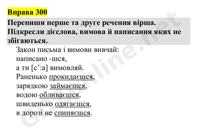 Вправа 300 — Українська мова 4 клас Захарійчук 2026, відповідь і розв’язання