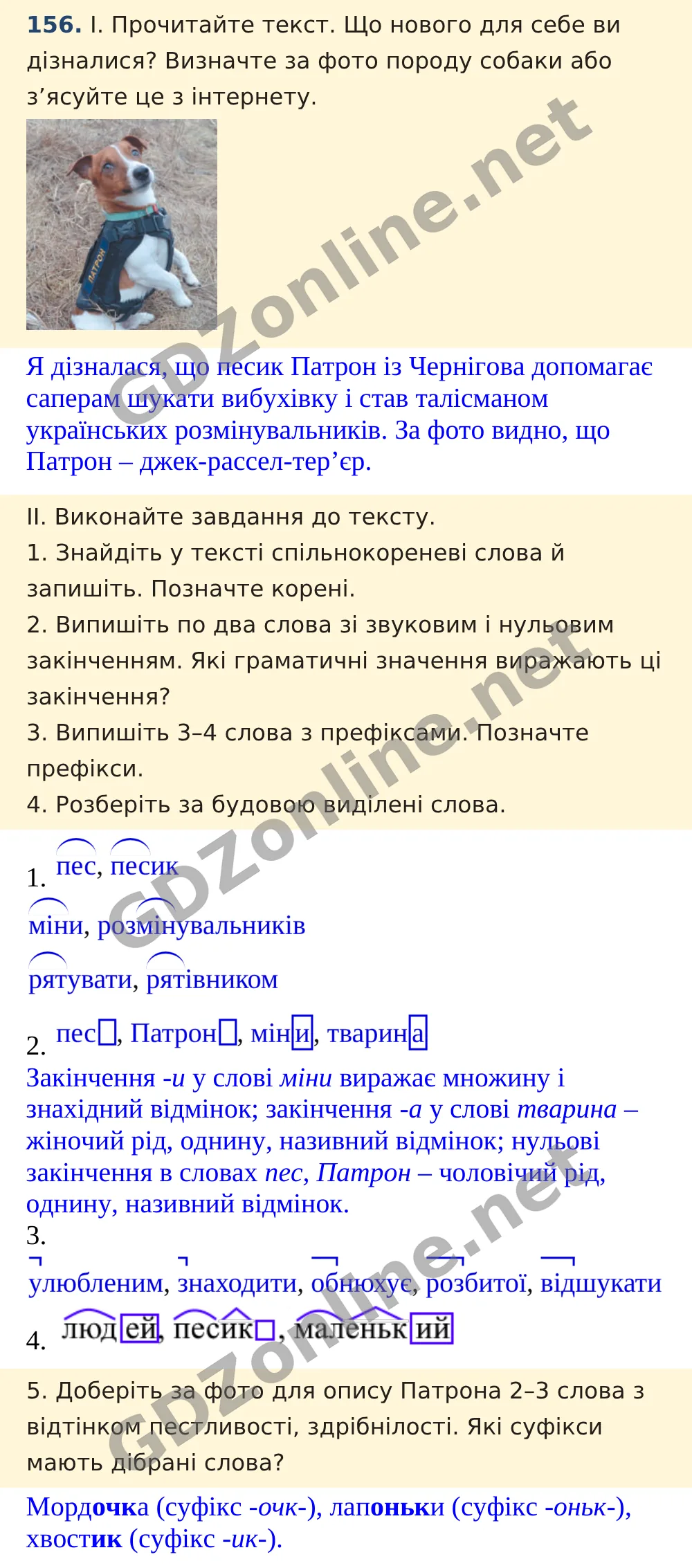 Вправа 156 — Українська мова 5 клас Заболотний 2022, відповідь і розв’язання