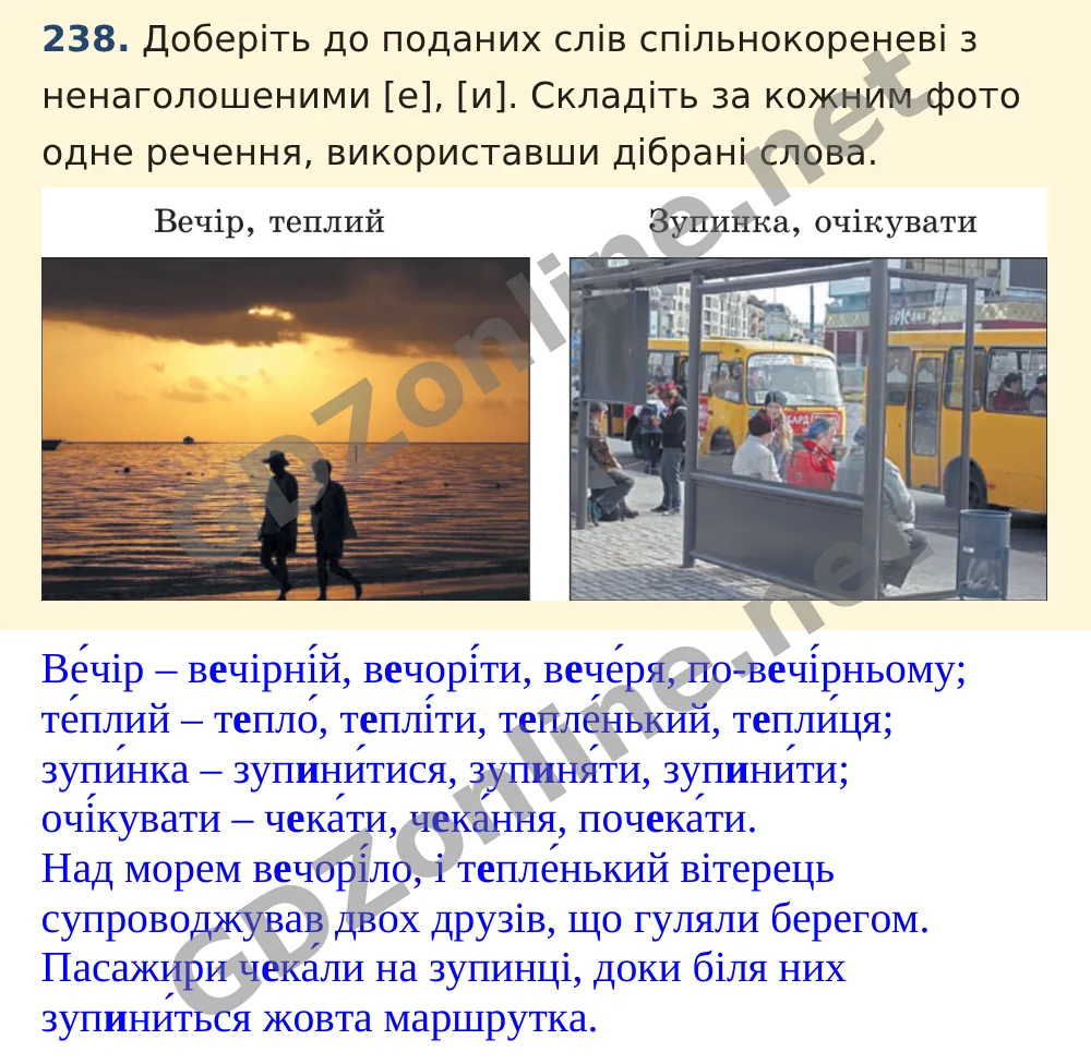 Вправа 238 — Українська мова 5 клас Заболотний 2022, відповідь і розв’язання