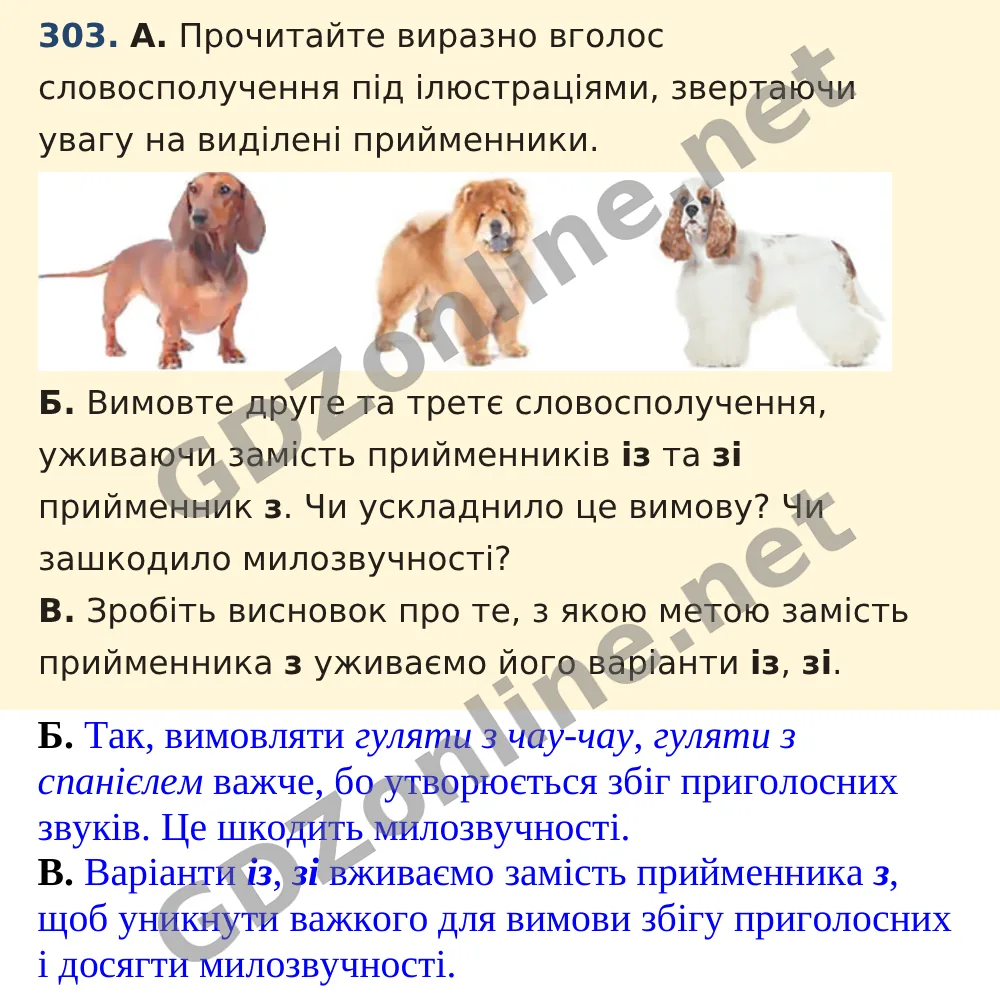 Вправа 303 — Українська мова 5 клас Заболотний 2022, відповідь і розв’язання