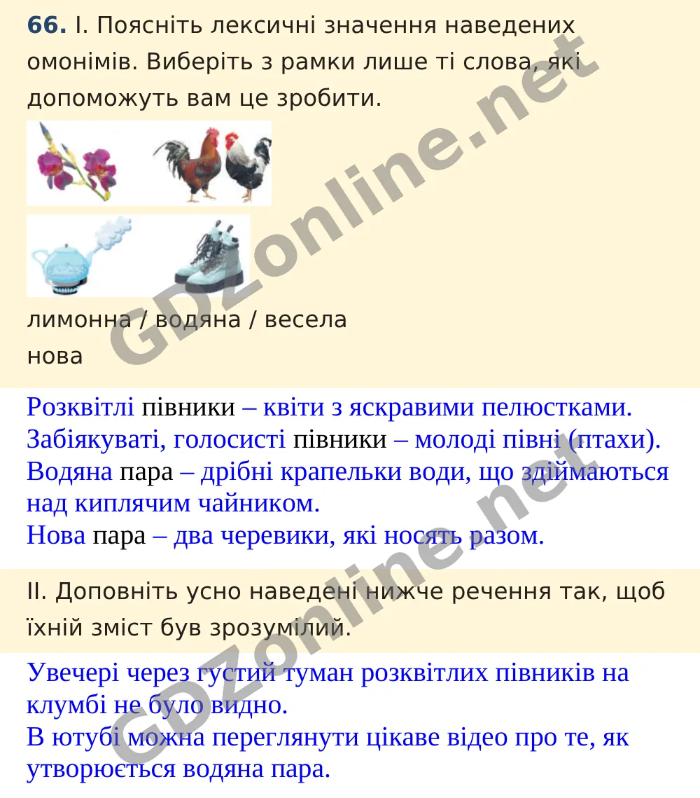 Вправа 66 — Українська мова 5 клас Заболотний 2022, відповідь і розв’язання